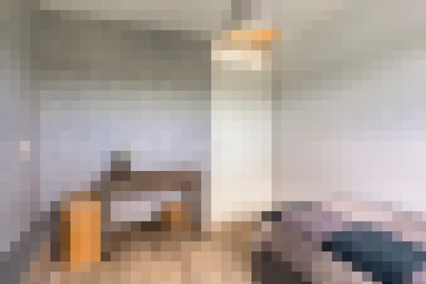 Witte Dam 11 Westwoud thumbnail 36