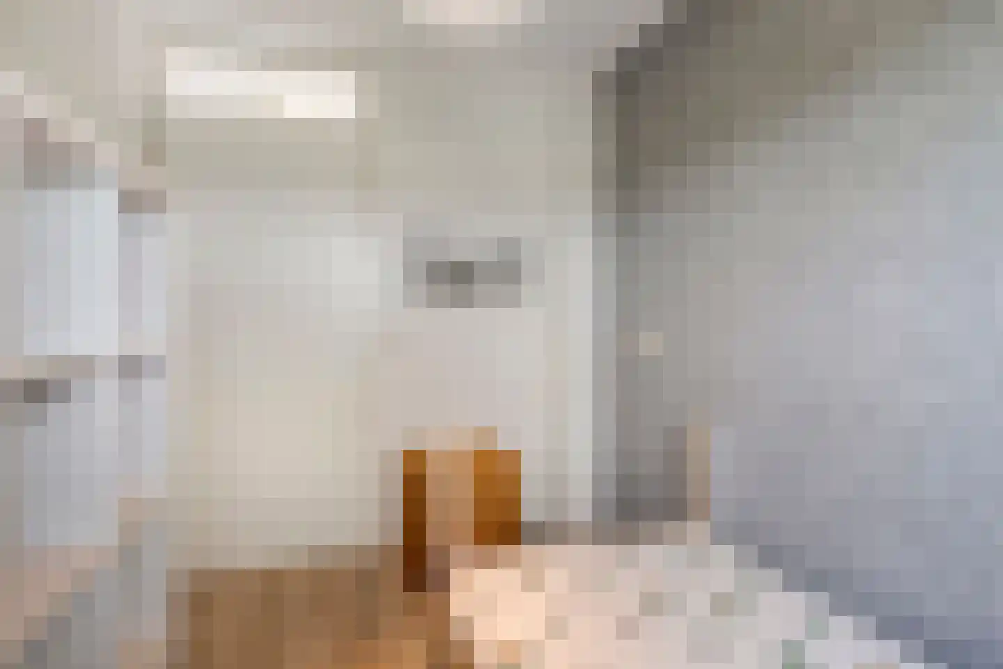 Witte Dam 11 Westwoud thumbnail 38