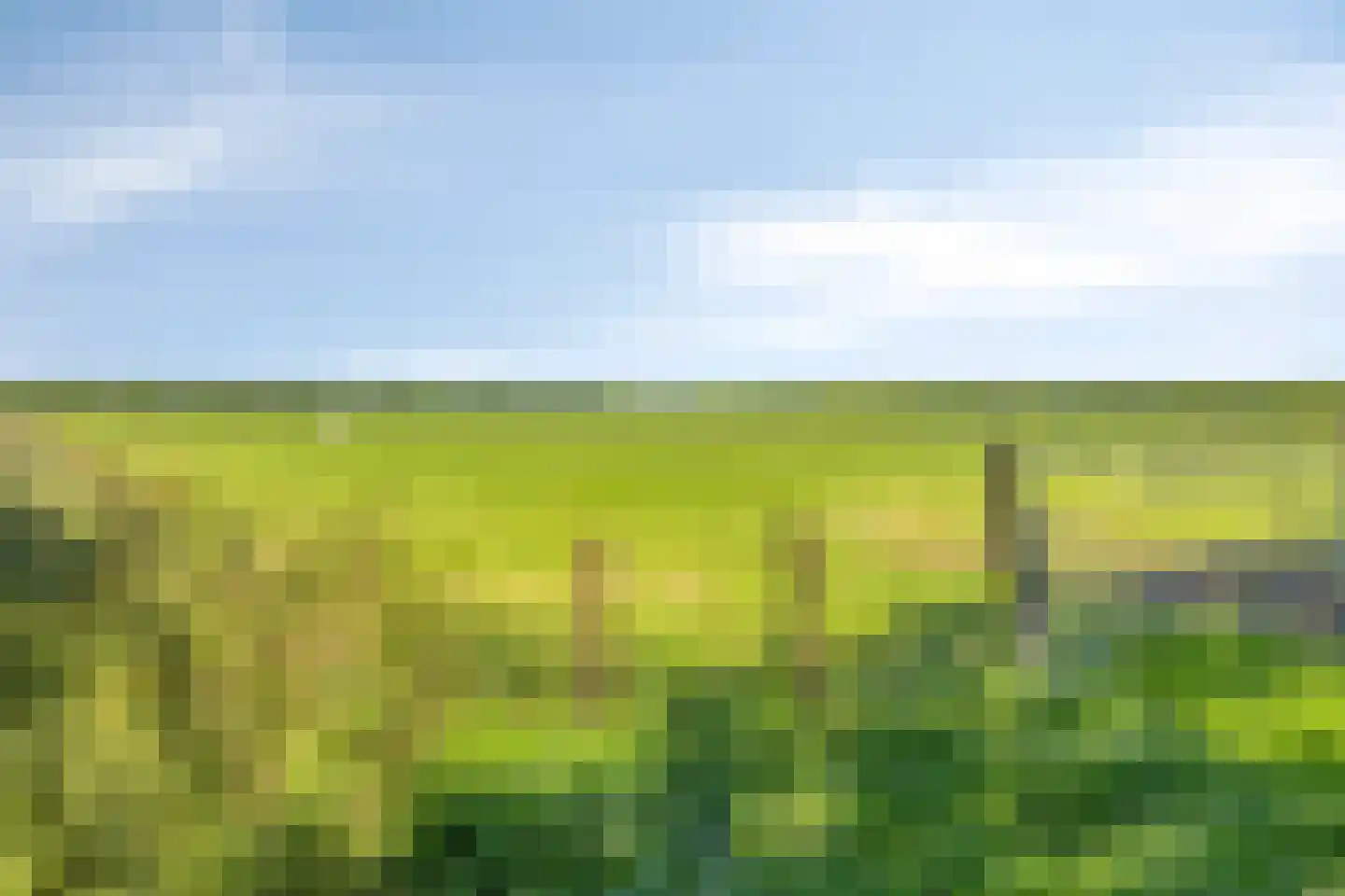 Witte Dam 11 Westwoud thumbnail 4