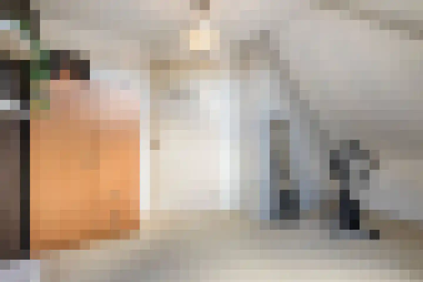 Witte Dam 11 Westwoud thumbnail 40