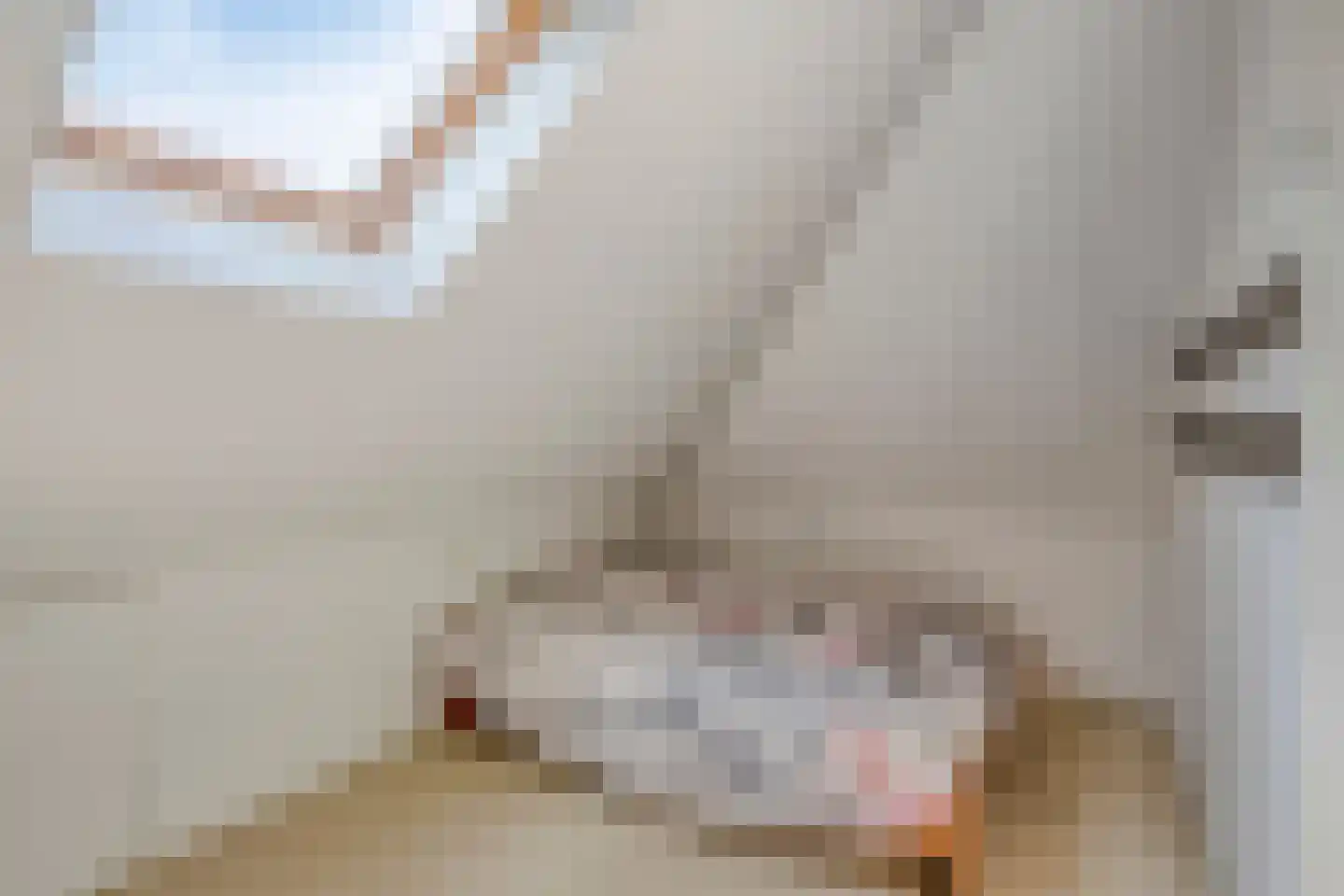 Witte Dam 11 Westwoud thumbnail 42
