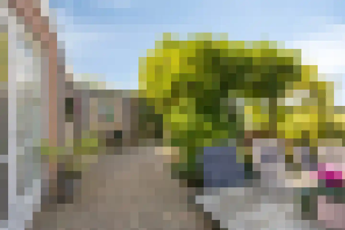Witte Dam 11 Westwoud thumbnail 45