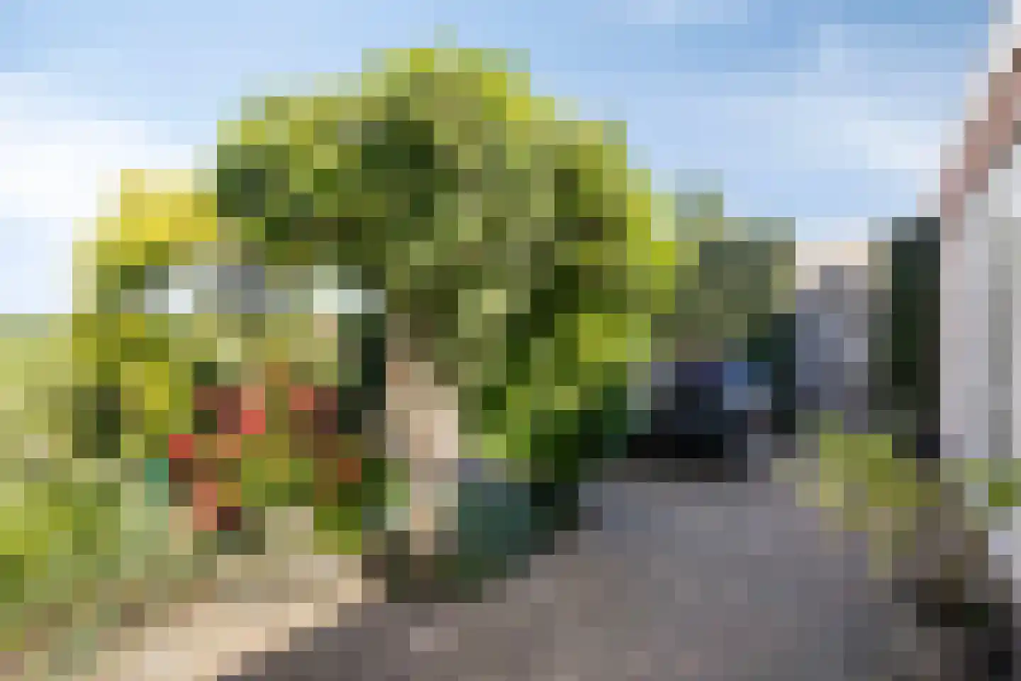 Witte Dam 11 Westwoud thumbnail 46