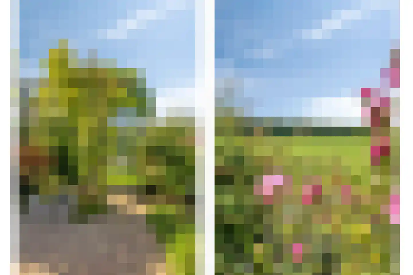 Witte Dam 11 Westwoud thumbnail 48