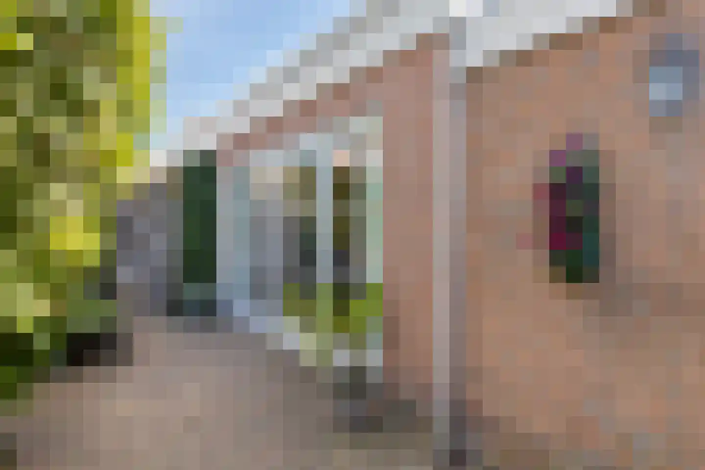 Witte Dam 11 Westwoud thumbnail 49