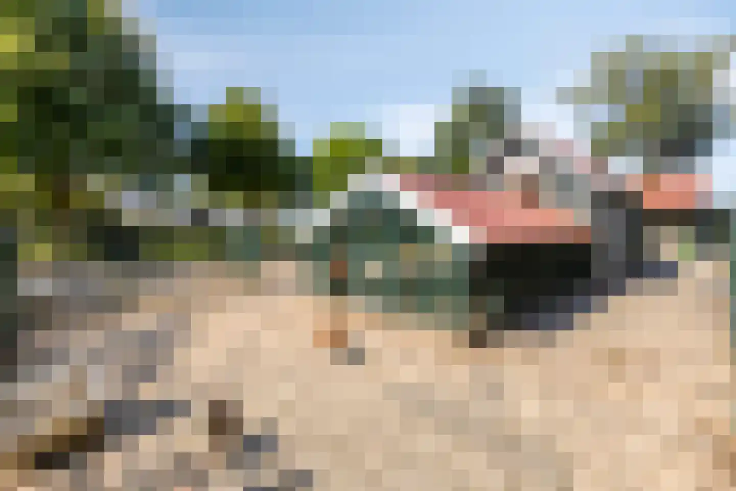 Witte Dam 11 Westwoud thumbnail 53