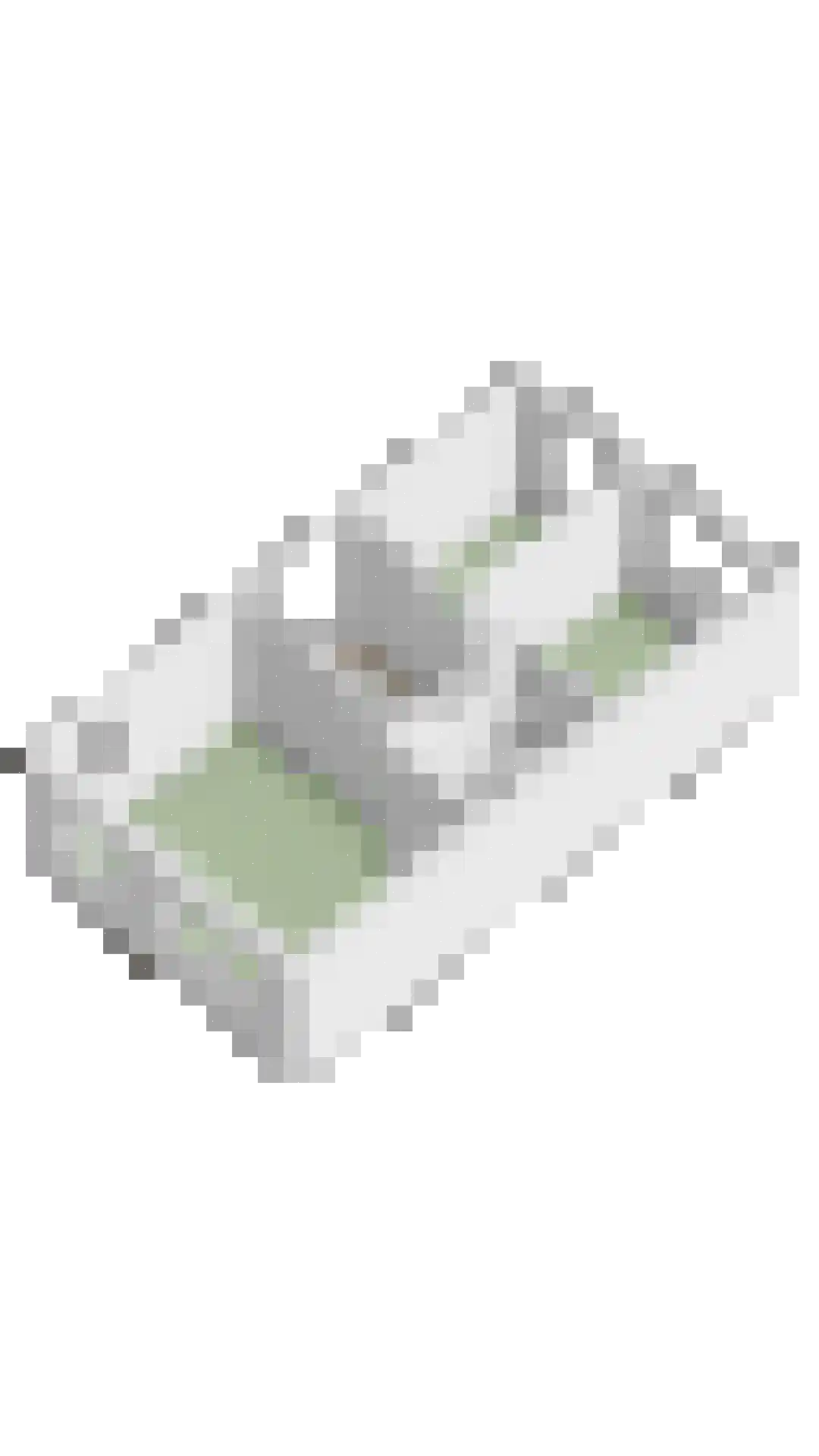 Witte Dam 11 Westwoud thumbnail 58