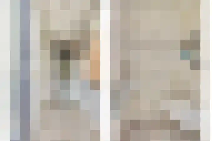 Witte Dam 111 Westwoud thumbnail 10
