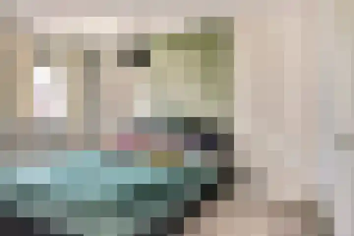 Witte Dam 111 Westwoud thumbnail 13