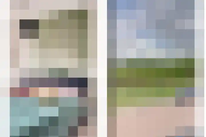 Witte Dam 111 Westwoud thumbnail 15