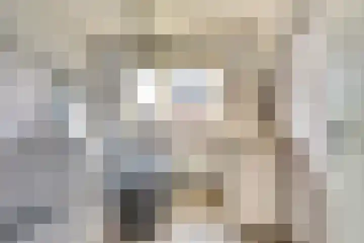 Witte Dam 111 Westwoud thumbnail 16