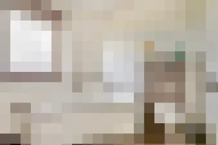 Witte Dam 111 Westwoud thumbnail 18