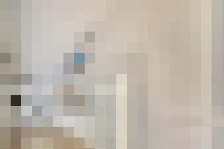 Witte Dam 111 Westwoud thumbnail 21