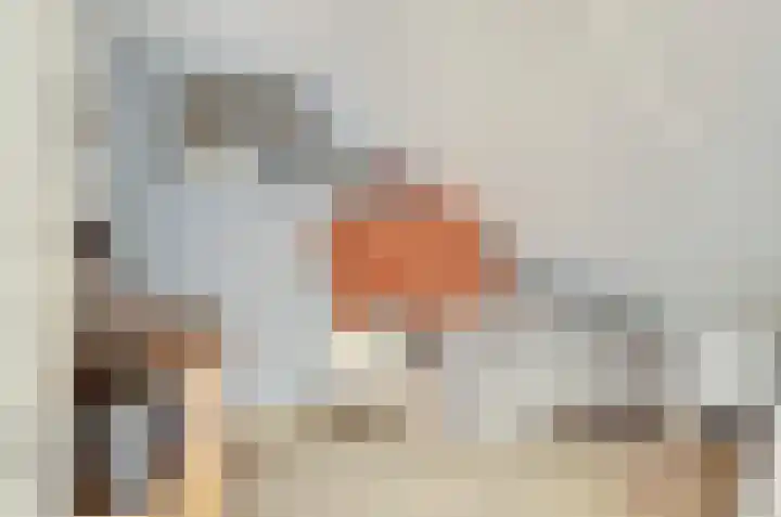 Witte Dam 111 Westwoud thumbnail 24