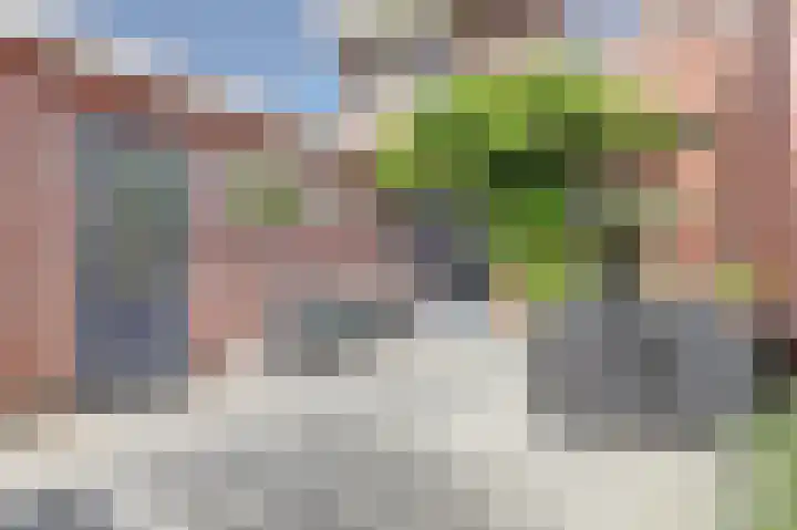 Witte Dam 111 Westwoud thumbnail 26