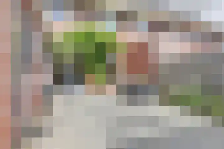Witte Dam 111 Westwoud thumbnail 27