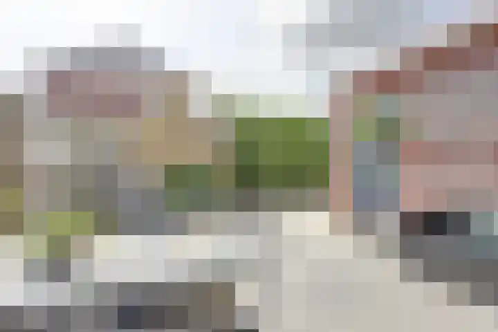 Witte Dam 111 Westwoud thumbnail 29