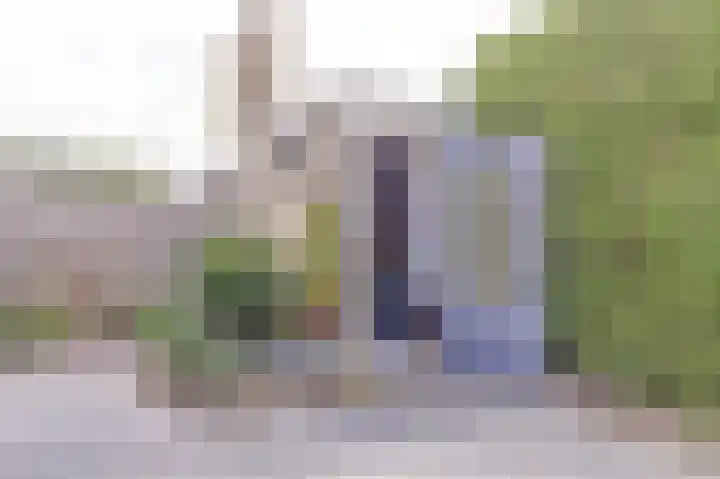Witte Dam 111 Westwoud thumbnail 32