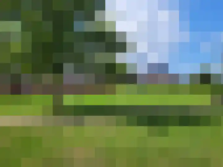 Witte Dam 111 Westwoud thumbnail 36