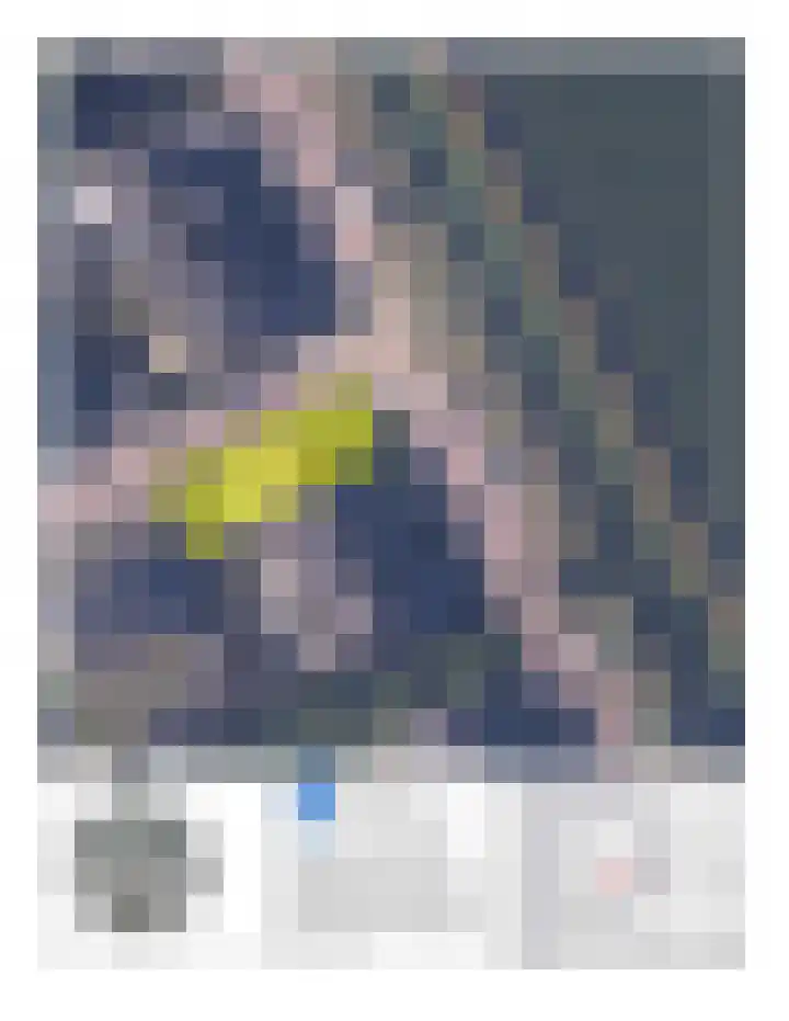 Witte Dam 111 Westwoud thumbnail 37