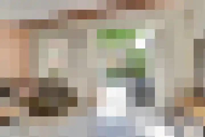 Witte Dam 111 Westwoud thumbnail 4