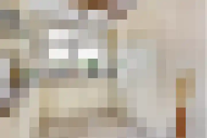 Witte Dam 111 Westwoud thumbnail 6