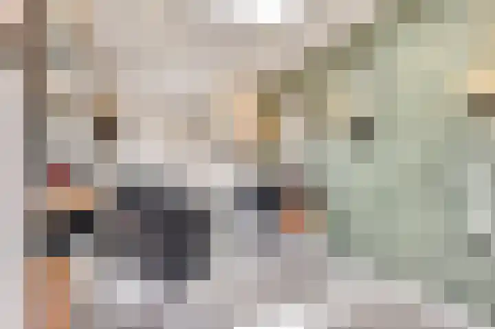 Witte Dam 111 Westwoud thumbnail 8