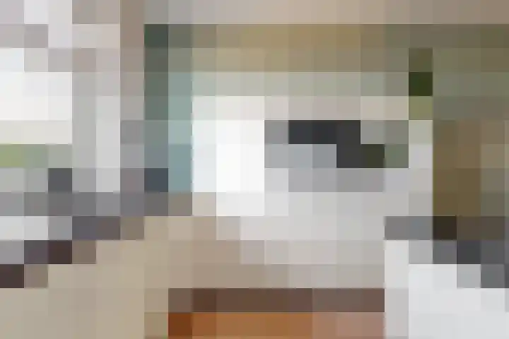 Witte Dam 113 Westwoud thumbnail 12