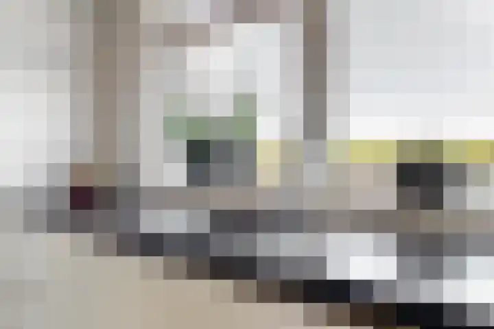 Witte Dam 113 Westwoud thumbnail 13