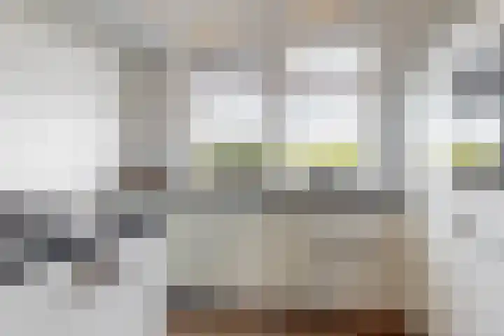 Witte Dam 113 Westwoud thumbnail 14
