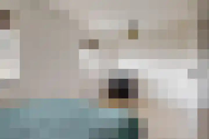 Witte Dam 113 Westwoud thumbnail 16