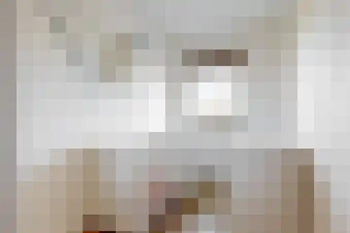 Witte Dam 113 Westwoud thumbnail 18