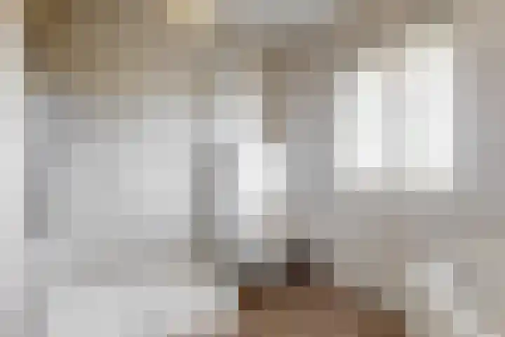 Witte Dam 113 Westwoud thumbnail 20