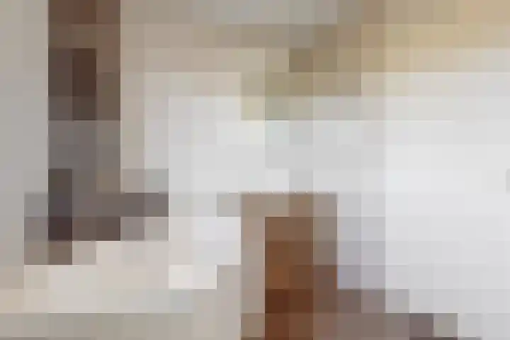 Witte Dam 113 Westwoud thumbnail 21