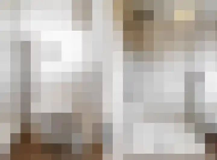 Witte Dam 113 Westwoud thumbnail 22