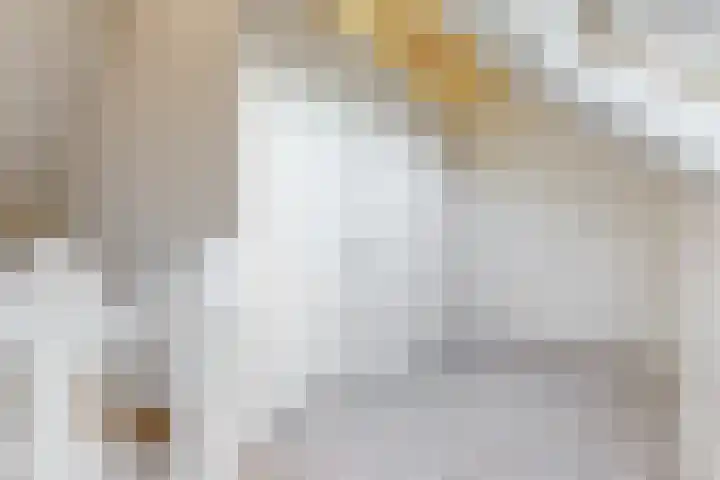 Witte Dam 113 Westwoud thumbnail 24