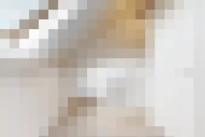 Witte Dam 113 Westwoud thumbnail 25