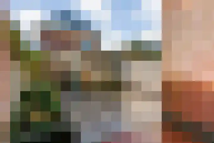 Witte Dam 113 Westwoud thumbnail 28