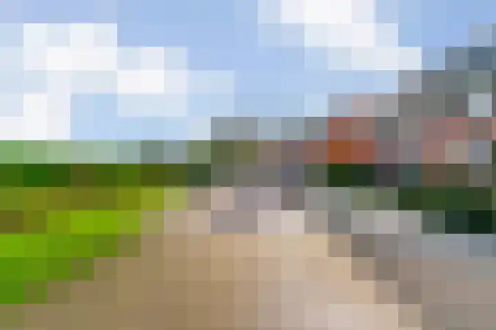 Witte Dam 113 Westwoud thumbnail 34