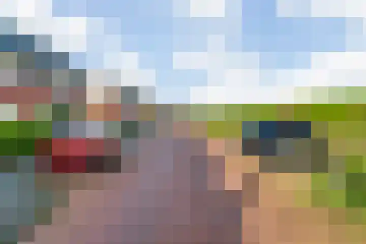 Witte Dam 113 Westwoud thumbnail 35