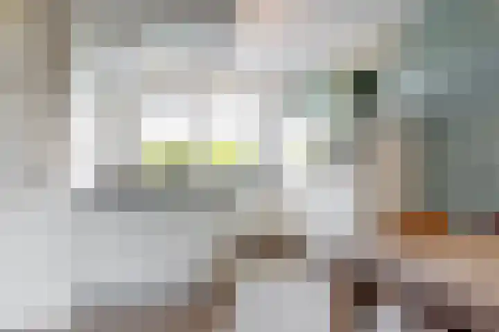 Witte Dam 113 Westwoud thumbnail 4