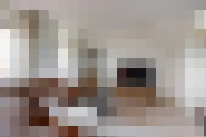 Witte Dam 113 Westwoud thumbnail 9