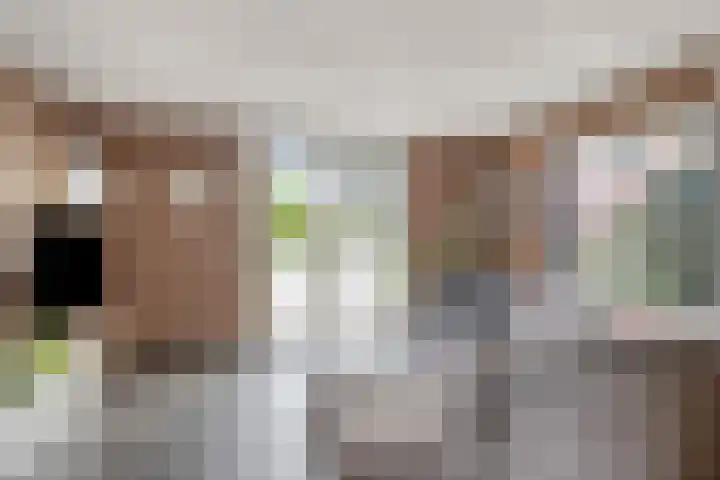 Witte Dam 26 Kwadendamme thumbnail 11