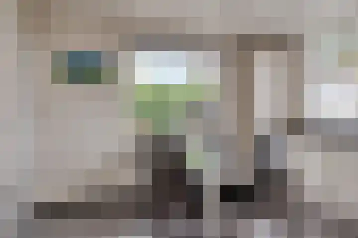 Witte Dam 26 Kwadendamme thumbnail 16