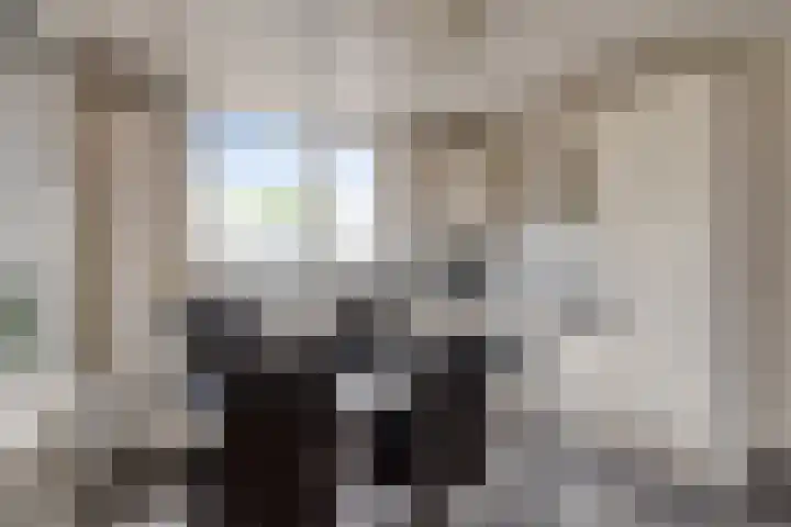 Witte Dam 26 Kwadendamme thumbnail 17