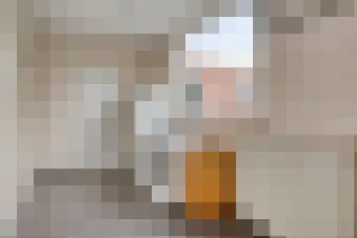 Witte Dam 26 Kwadendamme thumbnail 18