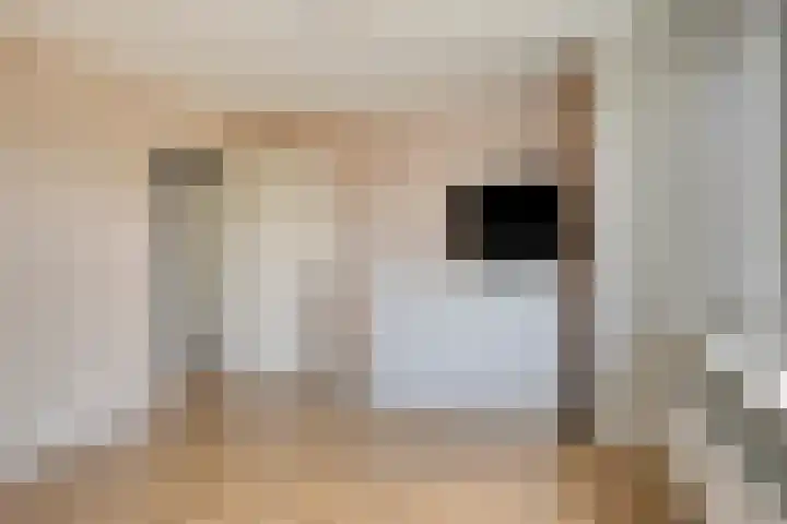 Witte Dam 26 Kwadendamme thumbnail 29