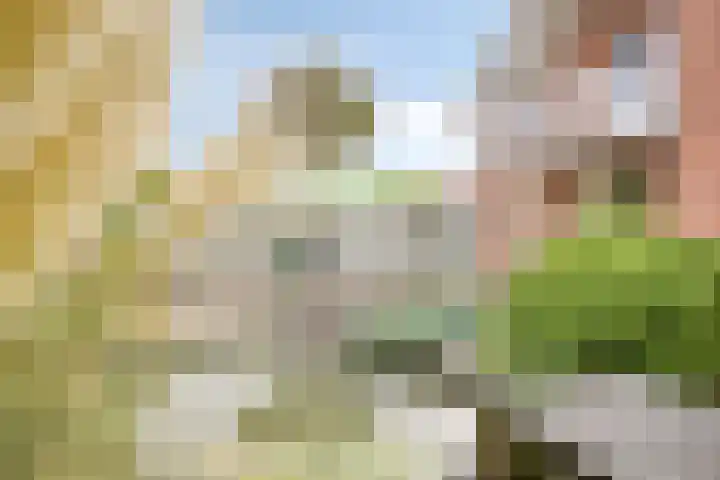 Witte Dam 26 Kwadendamme thumbnail 35