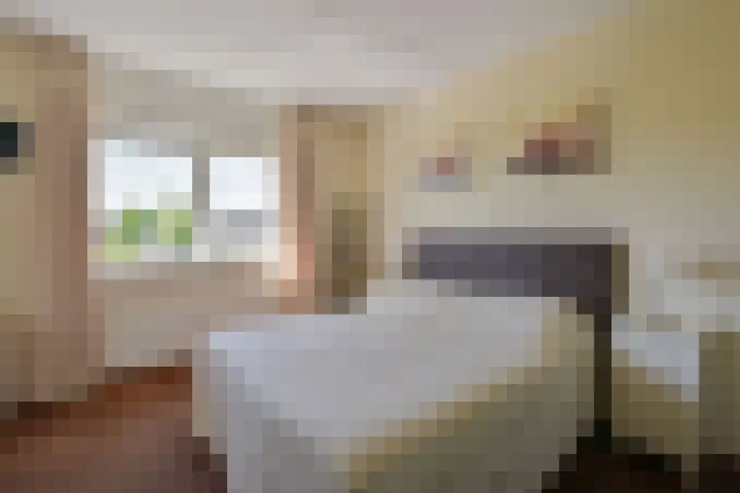 Witte Dam 61 Westwoud thumbnail 18