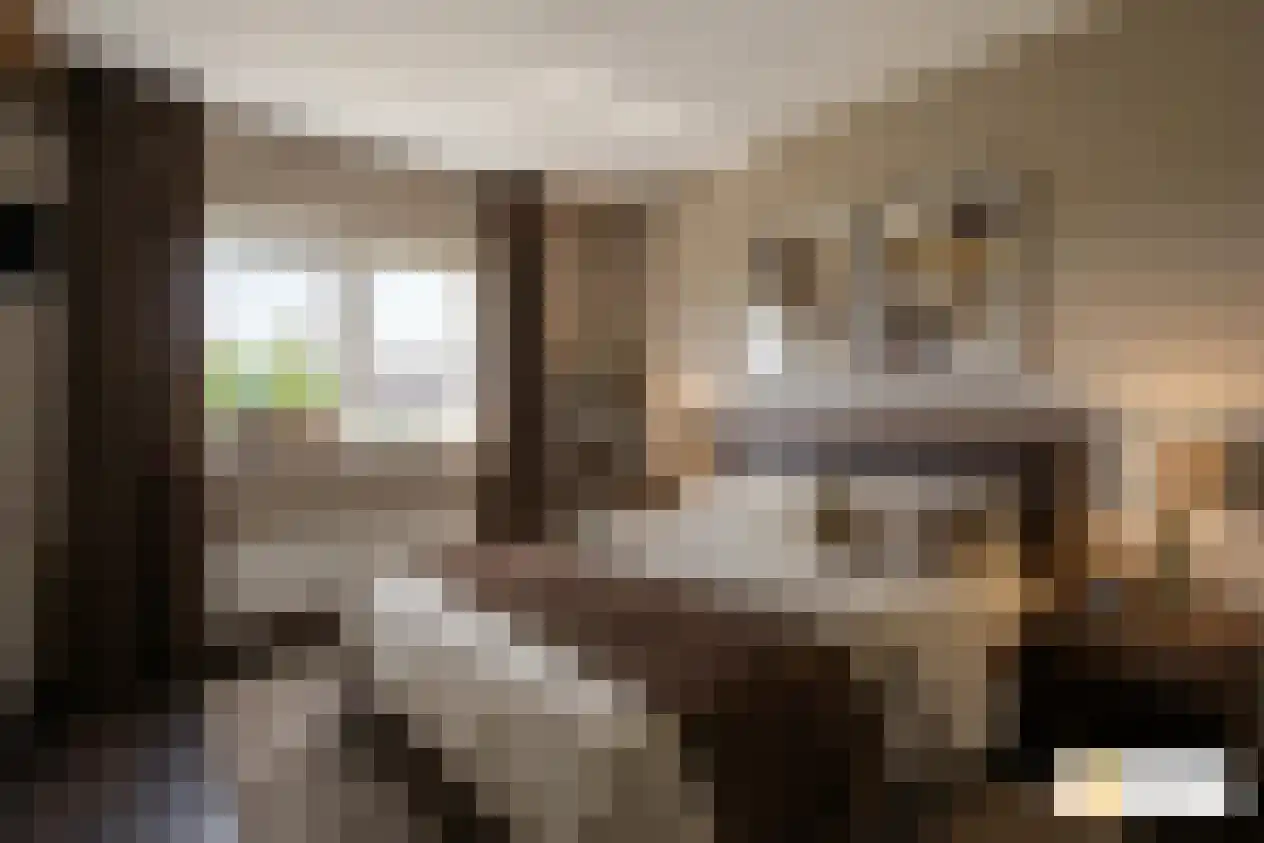 Witte Dam 61 Westwoud thumbnail 19